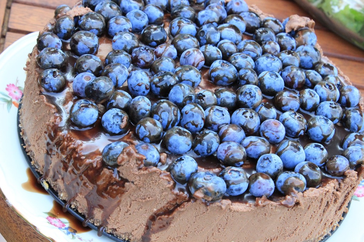 蓝莓和巧克力蛋糕|摄影|静物|beirou1234567 - 原创作品 - 站酷 (ZCOOL)